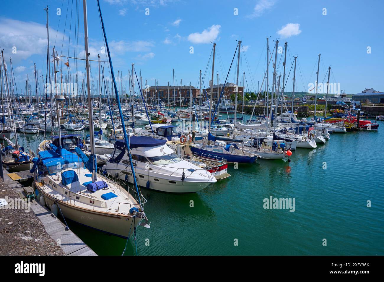 Port, voilier, mer, ciel, Soleil, Milford Haven, Pembrokeshire Coastal National Park, Pembrokeshire, pays de Galles, Royaume-Uni Banque D'Images