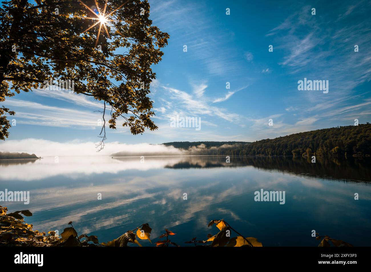 Réservoir du lac Edersee par un matin ensoleillé, léger brouillard au loin, arbres au premier plan, réflexion sur l'eau calme. District de Waldeck-Frankenberg, Hesse, Allemagne. Banque D'Images