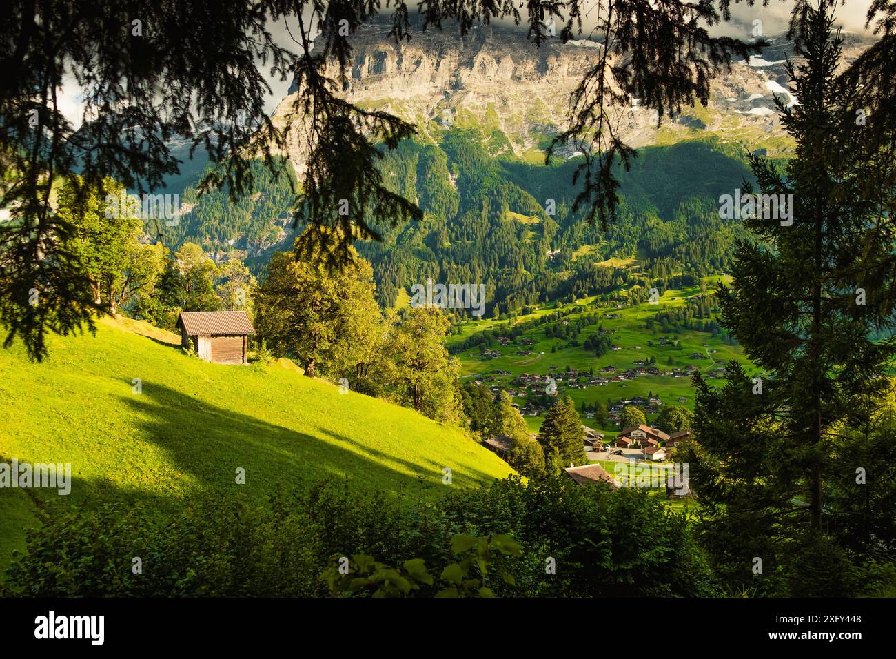 Belle vue sur la vallée de Grindelwald au coucher du soleil depuis les bois et les Alpes suisses d'été avec des prairies verdoyantes, chalets en bois sur des champs verdoyants et moun Banque D'Images
