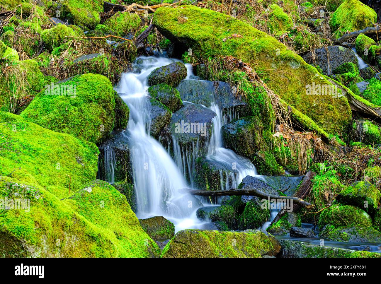 Europe, Allemagne, Hesse, Westerwald, cascade de Leyenbach à Nenderoth Banque D'Images