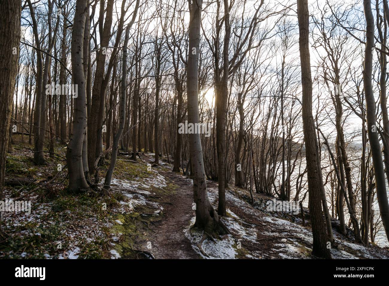 Randonnée dans la vallée printanière hivernale avec vue sur la mer Baltique Banque D'Images