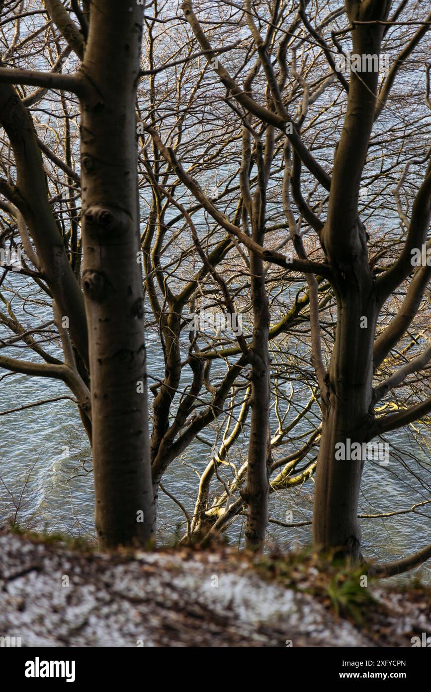 Randonnée dans la vallée printanière hivernale avec vue sur la mer Baltique Banque D'Images