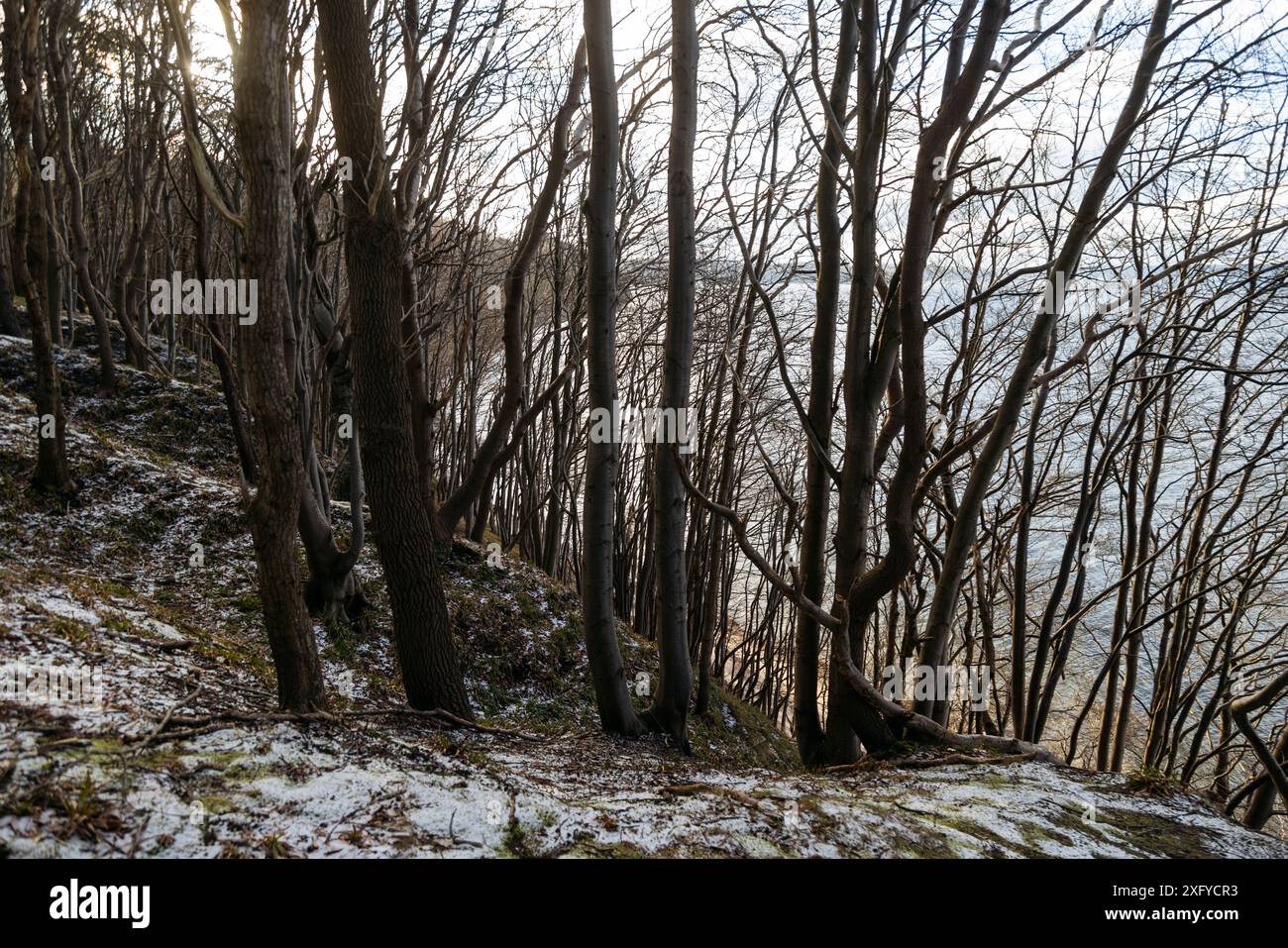 Randonnée dans la vallée printanière hivernale avec vue sur la mer Baltique Banque D'Images