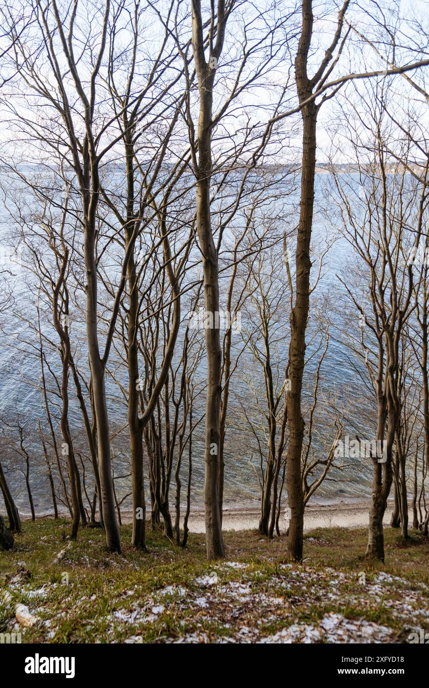 Randonnée dans la vallée printanière hivernale avec vue sur la mer Baltique Banque D'Images