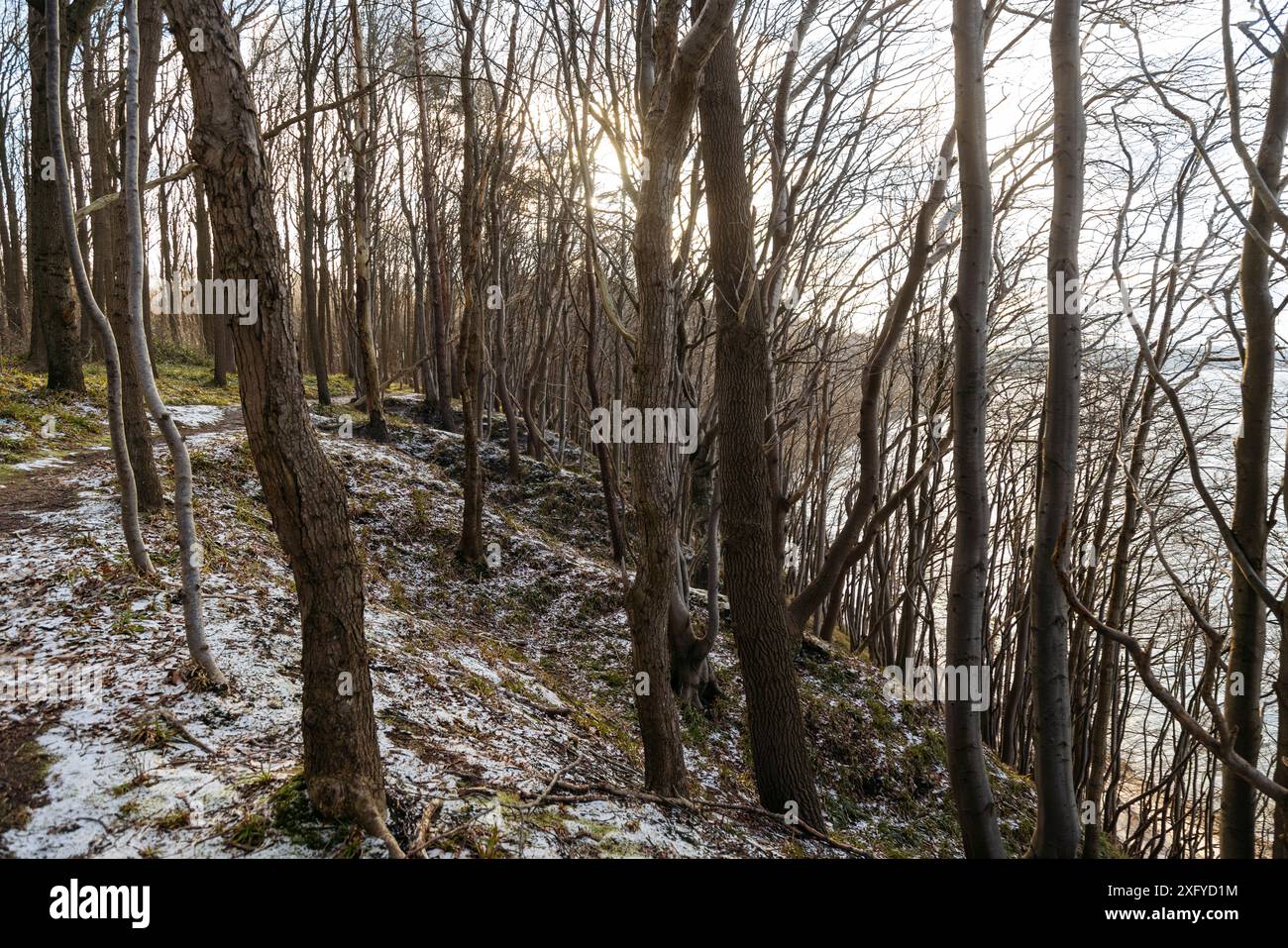 Randonnée dans la vallée printanière hivernale avec vue sur la mer Baltique Banque D'Images