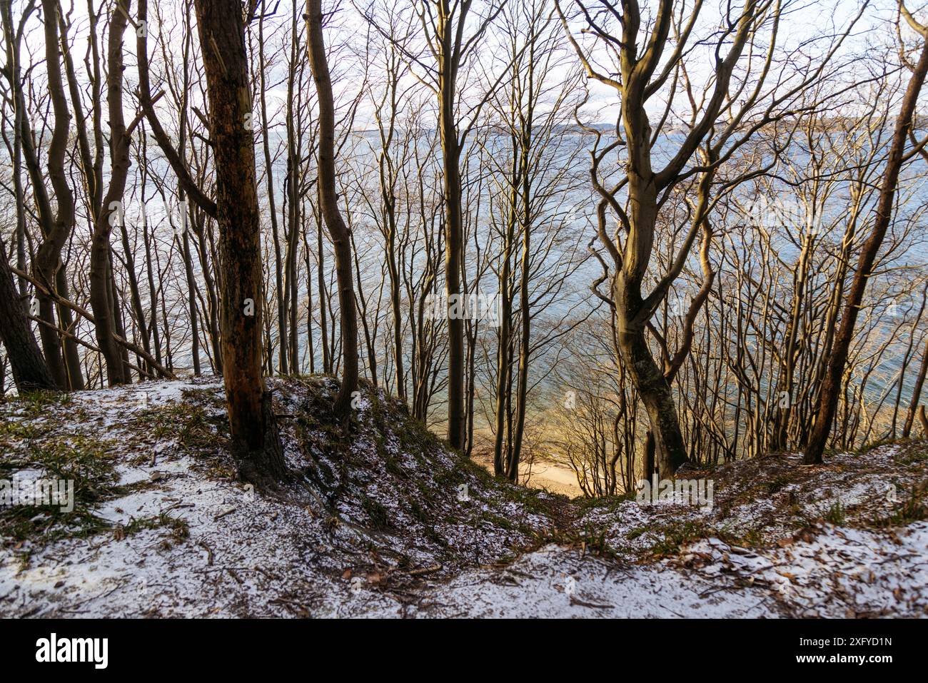 Randonnée dans la vallée printanière hivernale avec vue sur la mer Baltique Banque D'Images