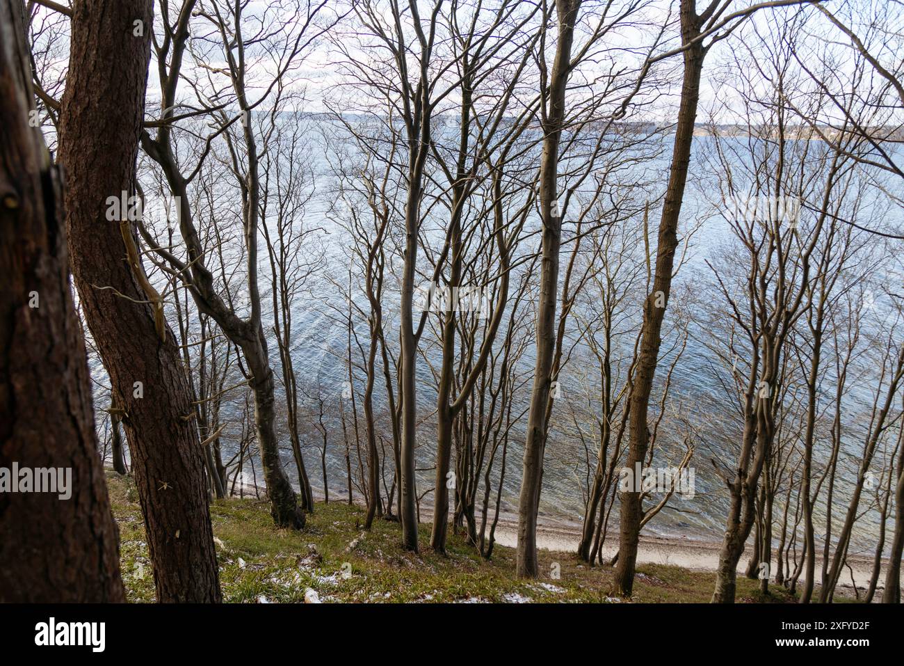 Randonnée dans la vallée printanière hivernale avec vue sur la mer Baltique Banque D'Images