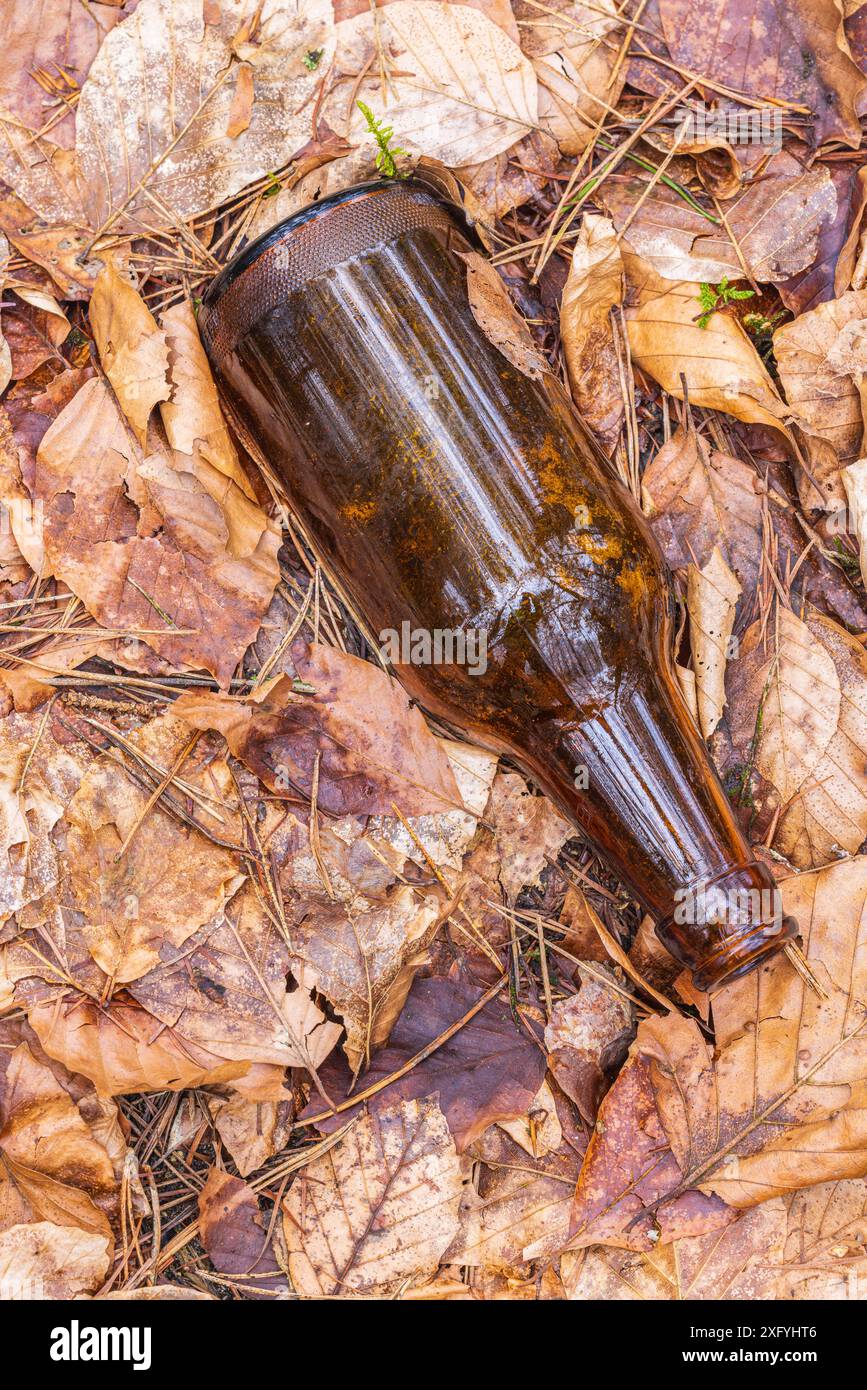 Bouteille en verre sur le sol dans la forêt, pollution de l'environnement Banque D'Images