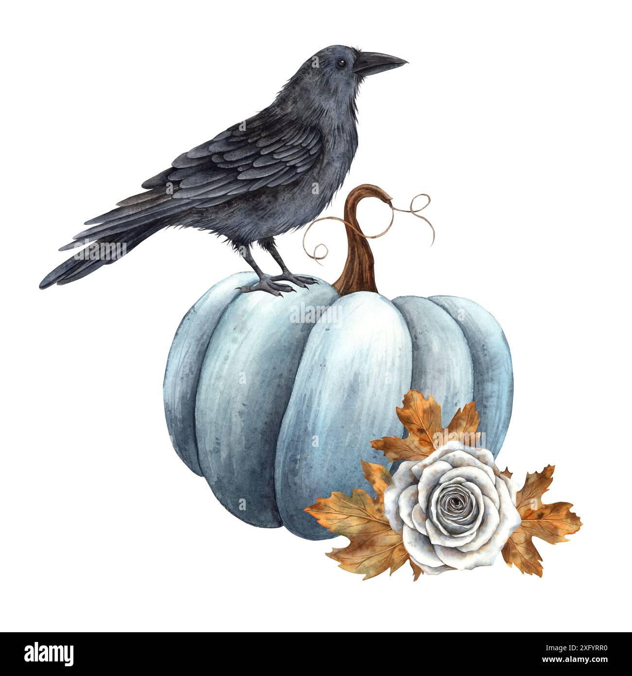 Citrouille bleue, corbeau noir réaliste, roses blanches et feuilles d'érable d'automne. Illustration aquarelle dans un style réaliste. Convient pour les vacances d'Halloween a Banque D'Images