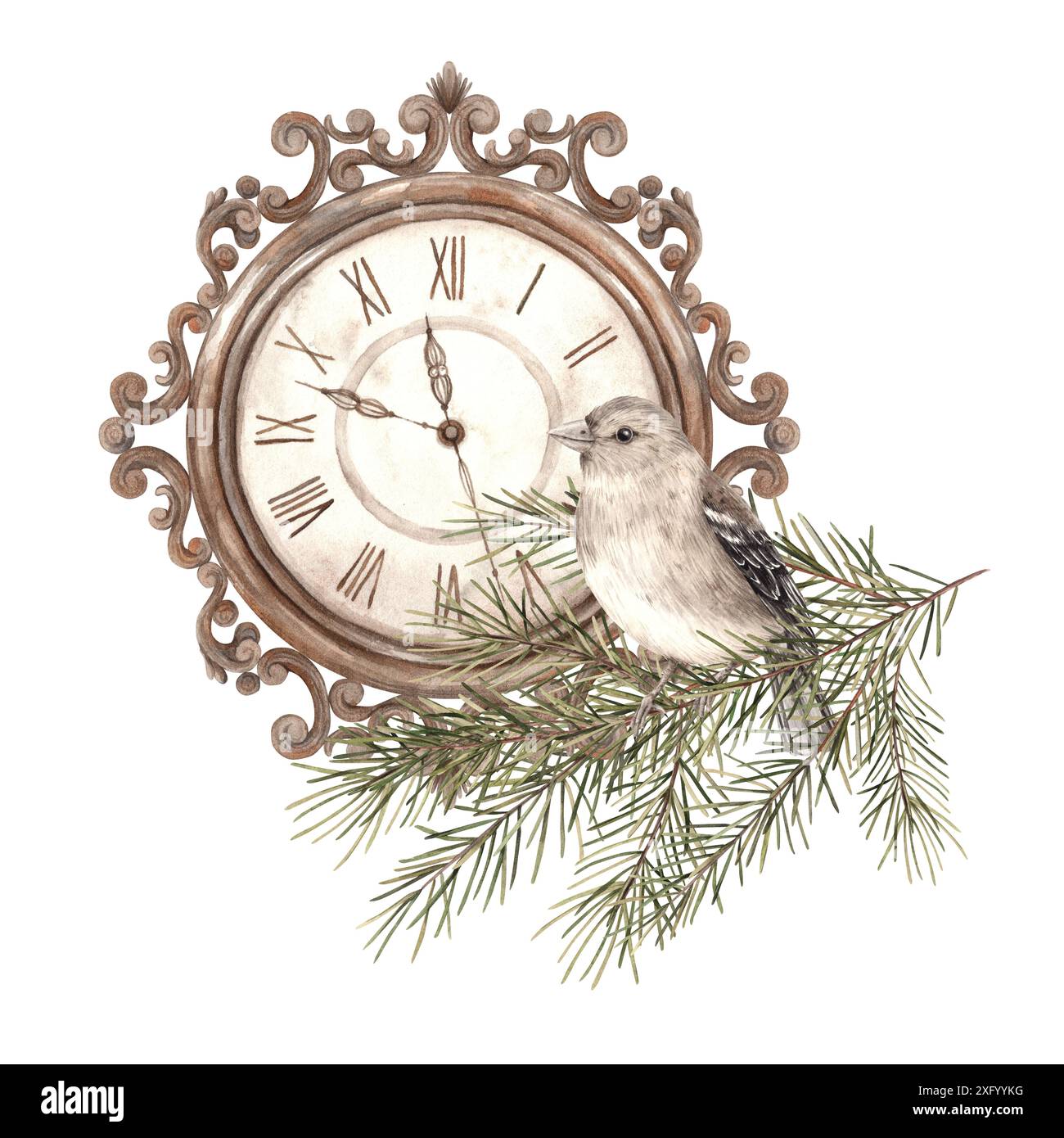 Branches de sapin, horloge oiseau et cuivre, illustrations botaniques à l'aquarelle sur un fond isolé dans un style vintage. Dessin pour Noël et nouvel an Banque D'Images