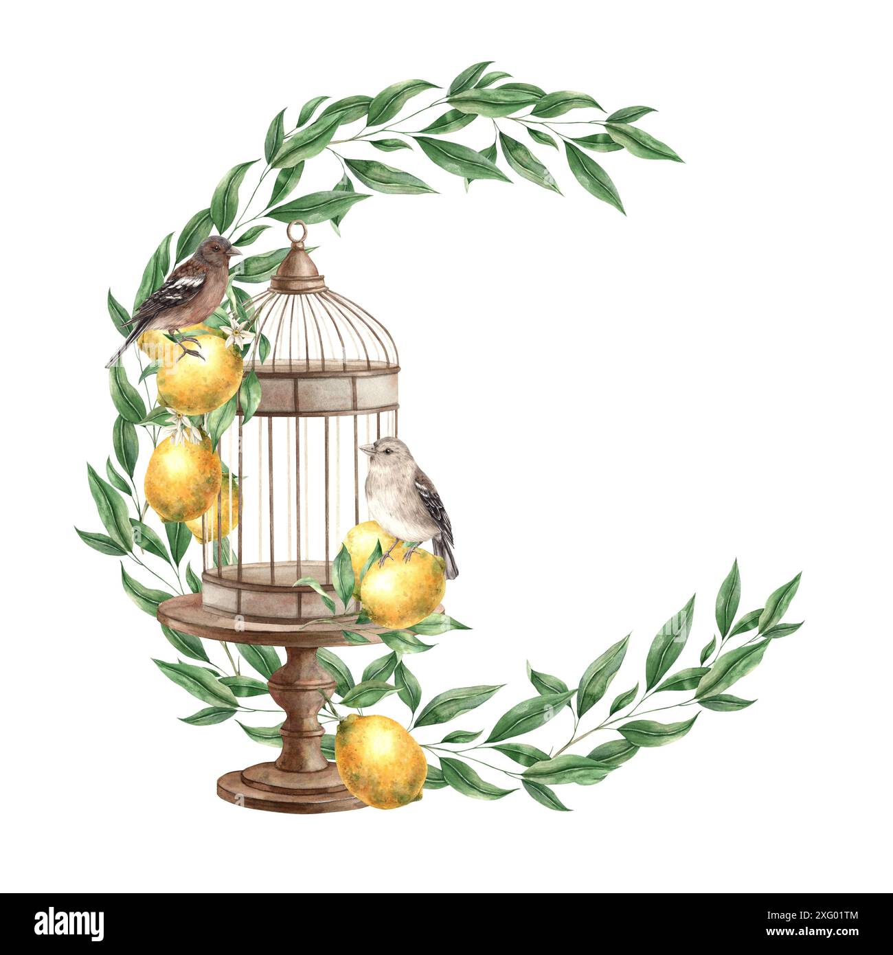 Une couronne de feuilles vertes, avec une cage de bronze, des oiseaux bruns et des citrons jaunes. Illustration aquarelle isolée dans le style vintage. Composition à la main f Banque D'Images