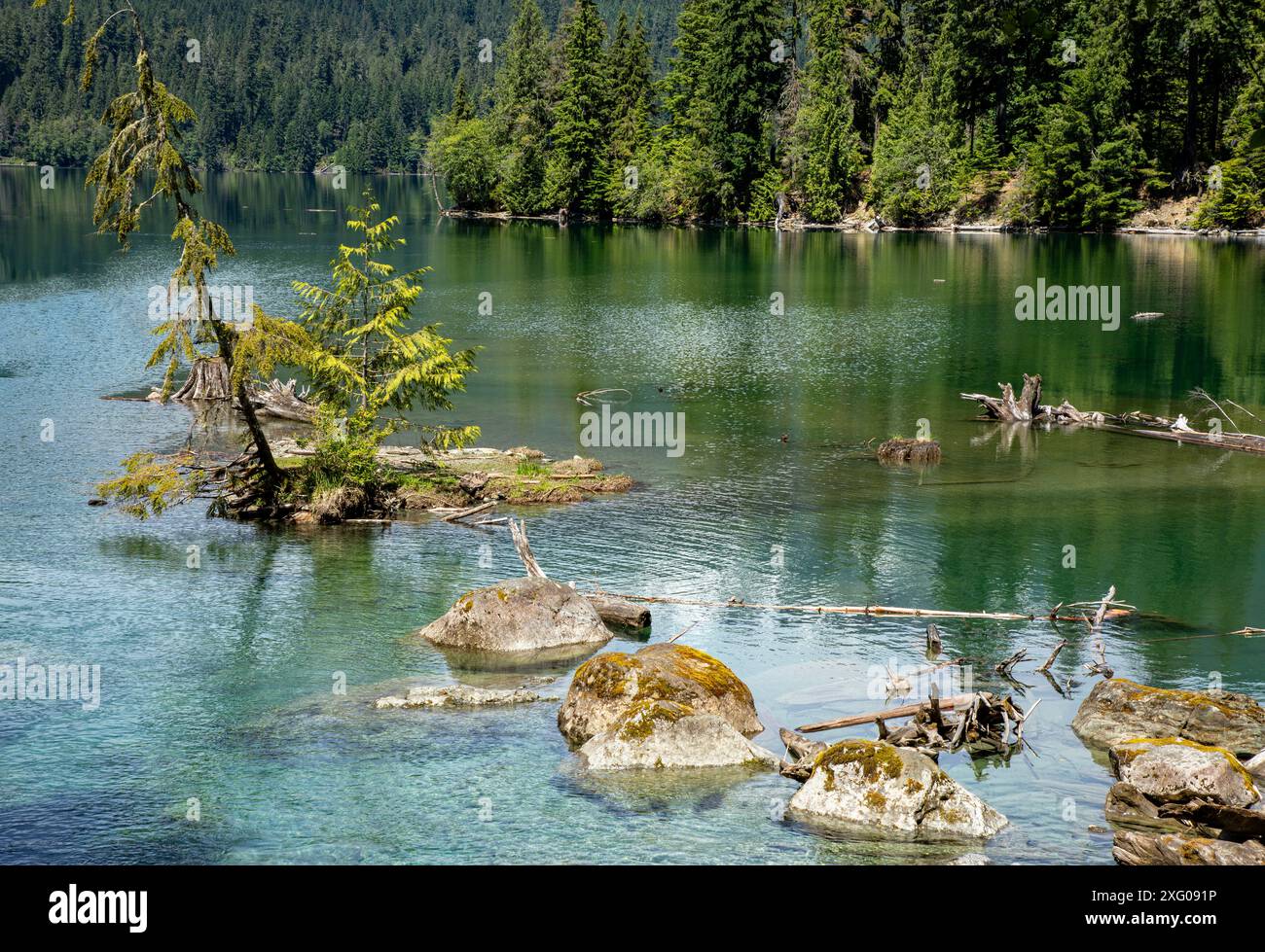 WA25476-00...WASHINGTON - petite crique le long des rives du lac Baker dans la forêt nationale du Mont Baker-Snoqualmie. Banque D'Images