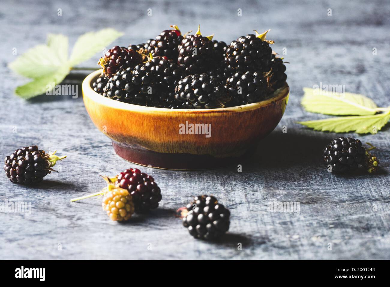 Mûres dans un bol, mûre fraîche sur table grise, nourriture d'été Banque D'Images