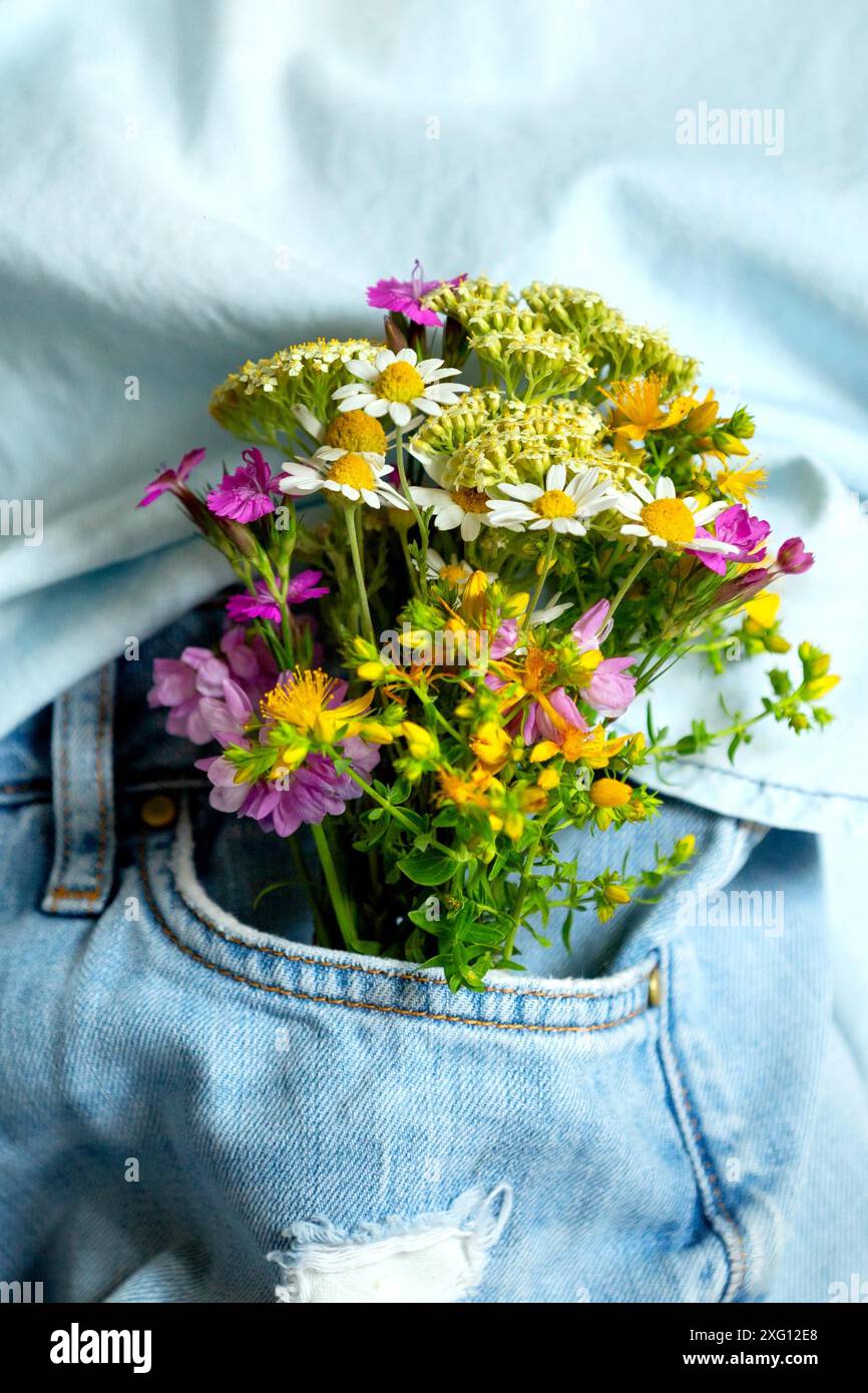 Belles fleurs tendres dans la poche avant de jeans en plein air, gros plan, l'été amour romantique concept Banque D'Images