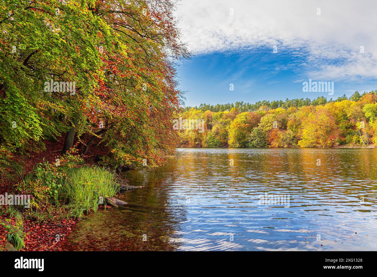 Vue sur le lac Schmaler Luzin jusqu'au paysage du lac Feldberg en automne Banque D'Images