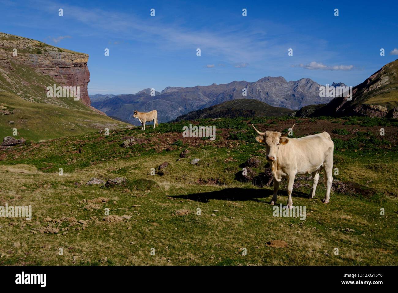 Chemin Camille, étangs cailleux, parc national des pyrénées, pyrénées atlantiques, nouvelle région aquitaine, france Banque D'Images