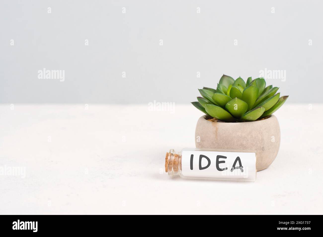 Cactus avec le mot idée debout sur une bouteille, fond gris, bureau minimaliste, brainstorming pour un démarrage, être créatif Banque D'Images