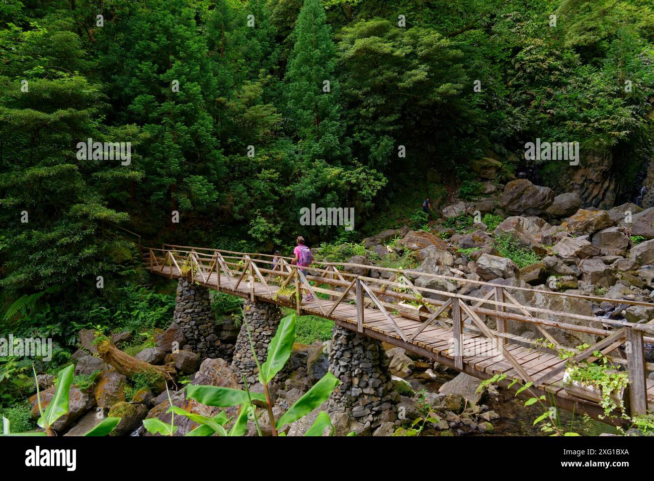 Une forêt avec un vieux pont en bois menant sur des rochers pierreux, entouré d'un feuillage vert dense, Grena Park, Furnas, George Hayes, Lagoa das Furnas Banque D'Images