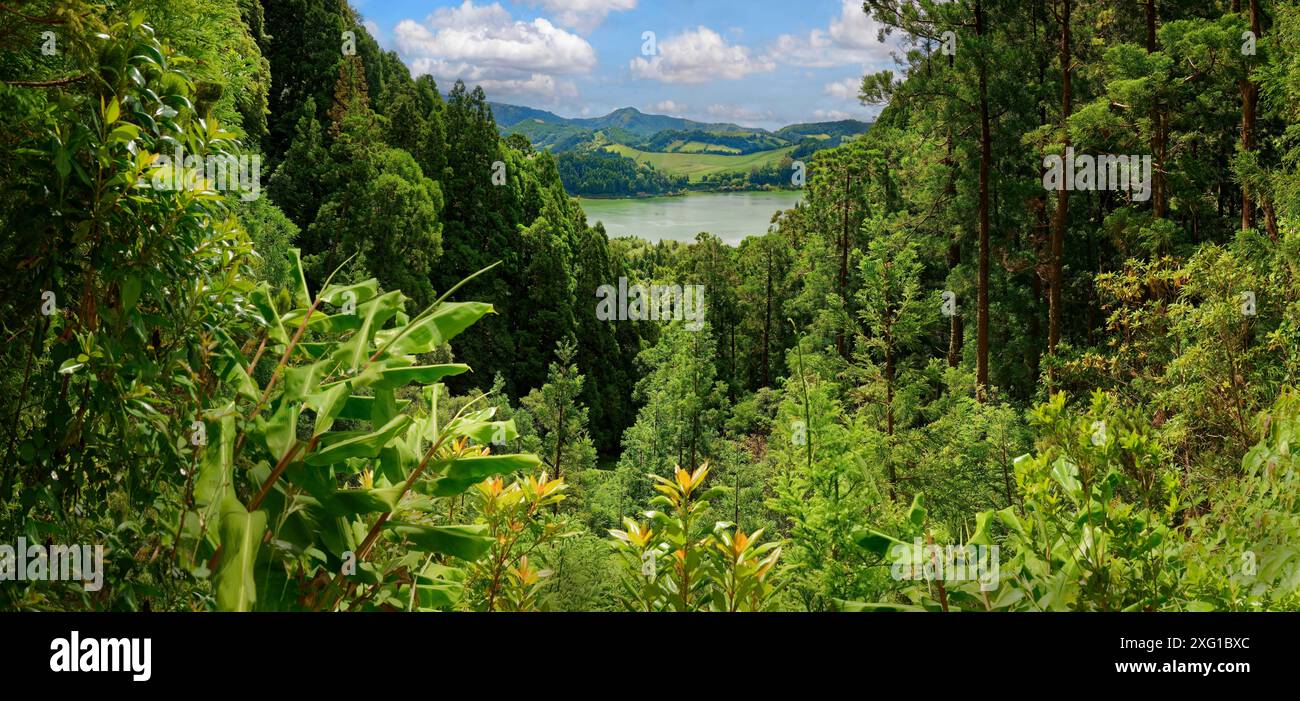 Vue panoramique d'une forêt dense et verdoyante qui comprend un lac lointain et des collines, Grena Park, Furnas, George Hayes, Lagoa das Furnas, île Sao Miguel Banque D'Images