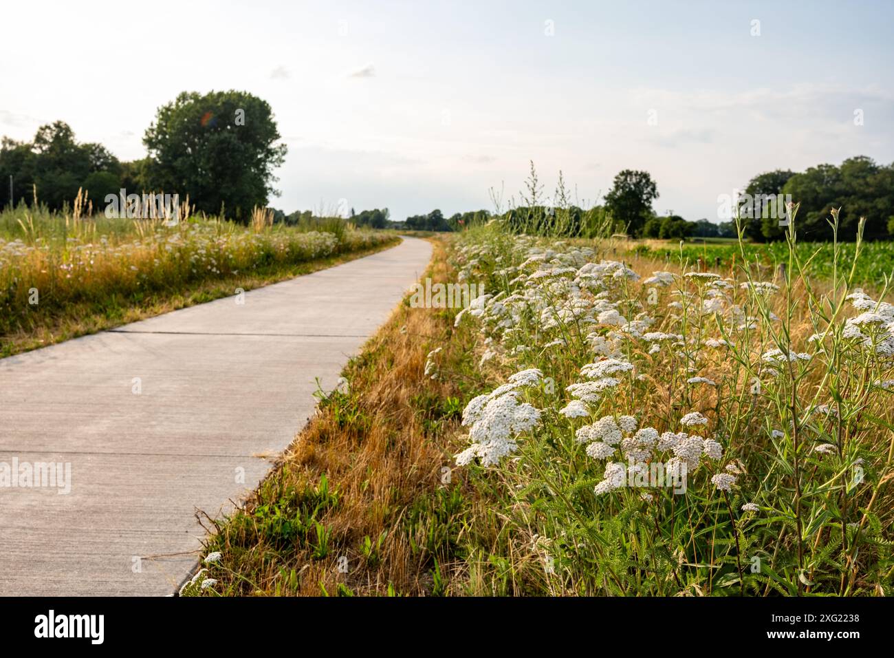Belle vue sur un virage en campagne en été. Bord de route bien entretenu avec de l'herbe tondue. Gronau, Allemagne 2024. Banque D'Images