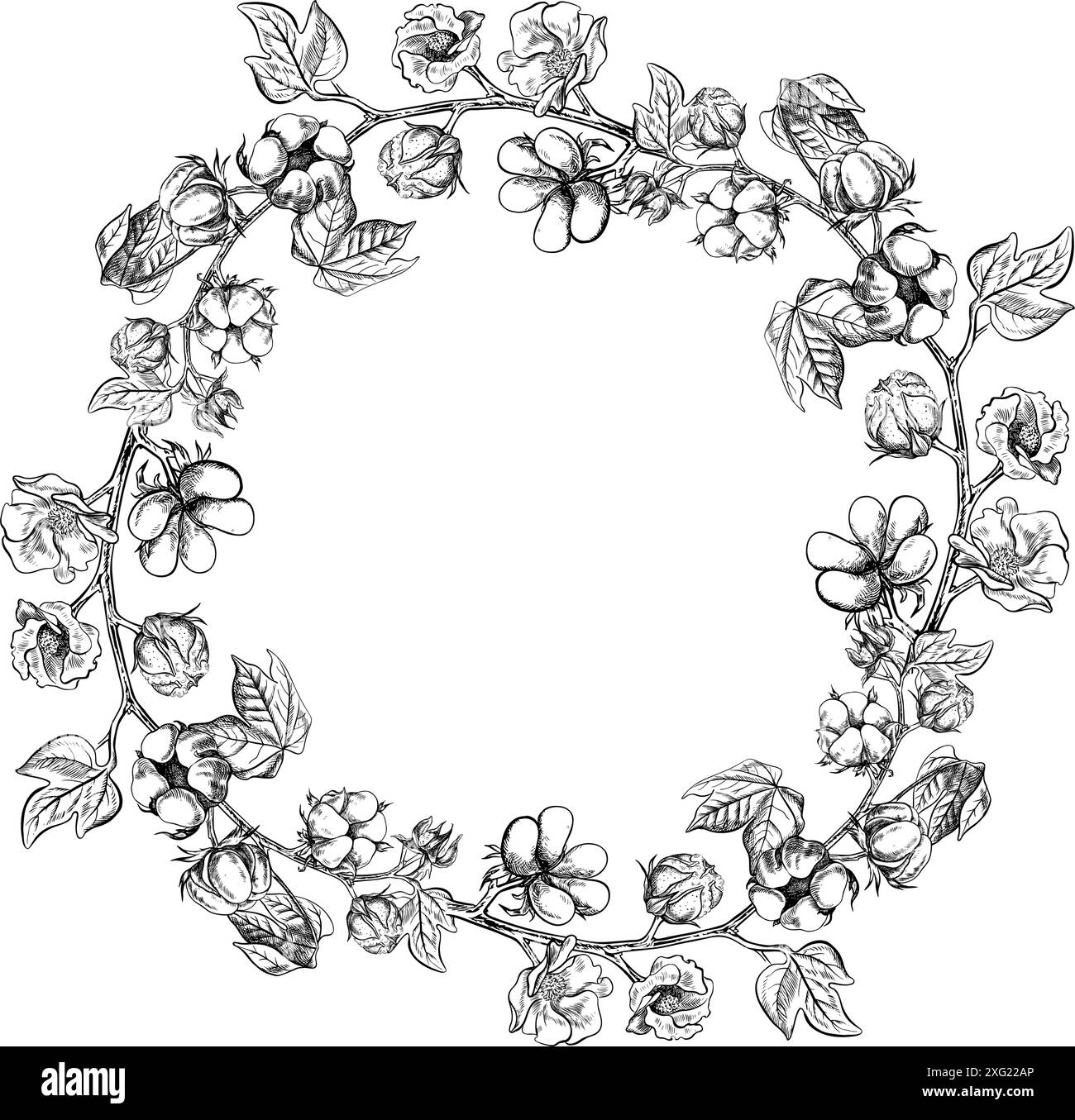 Le coton est biologique. Le cadre est rond, avec des brindilles de coton. Noir et blanc, détaillé, graphique, illustration vectorielle, dessiné à la main, sur un backgrou blanc Illustration de Vecteur