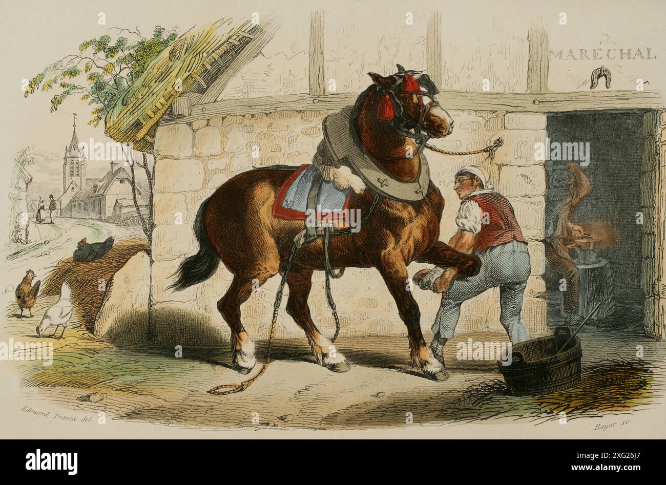 Le cheval de trait. Dessin d'Edouard Traviès. Gravure colorée à la main par Beyer. Chromolithographie. 'Los Héroes y las Grandezas de la Tierra' (les héros et les grandeurs de la Terre). Volume VIII 1856. Auteur : Edouard Traviès de Villers (1809-1876). Artiste français. Banque D'Images