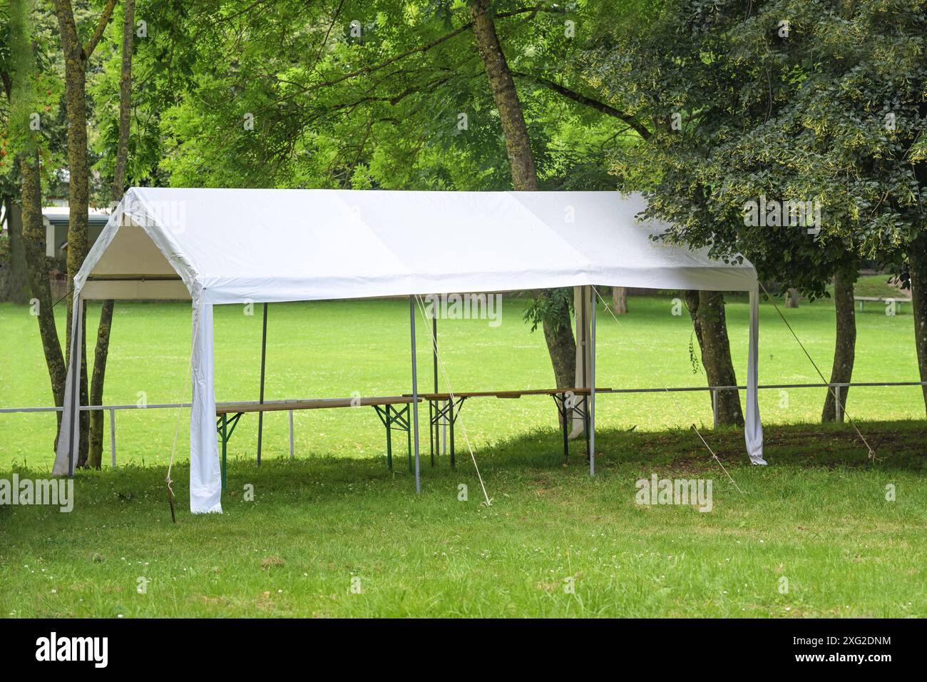 Tente de fête blanche vide installée sous les arbres sur une prairie dans un parc, préparation pour un événement de festival d'été, espace de copie, focus sélectionné Banque D'Images