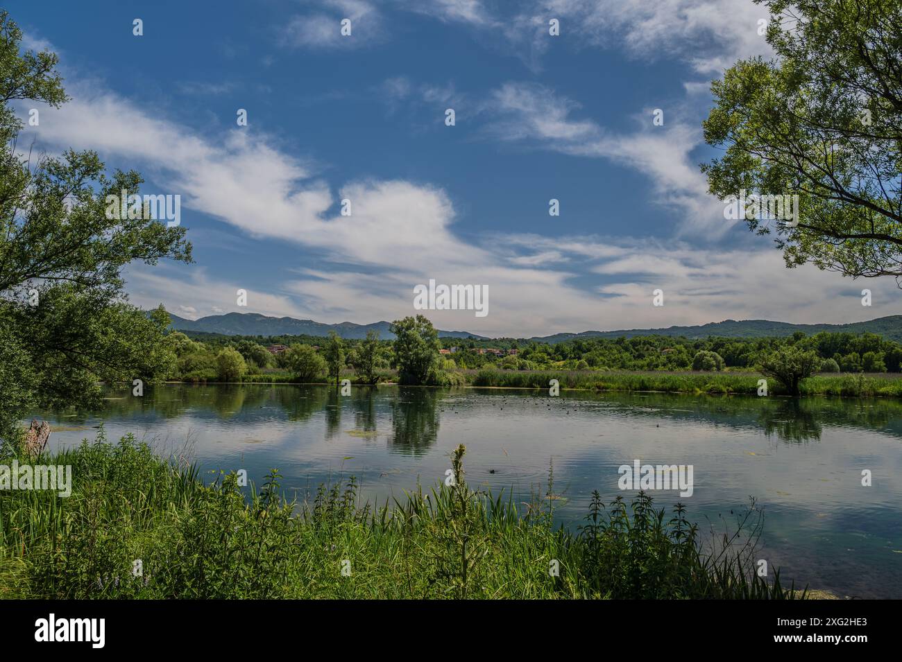 Le lac Posta Fibreno est situé dans la vallée de Comino. En plus de sa faune endémique, le lac est connu pour la présence d'un isl flottant naturel Banque D'Images