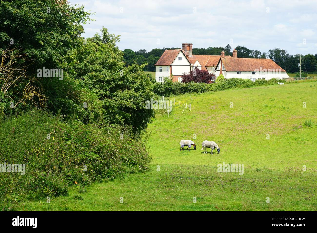 Little Lodge Farm, Castle Hedingham Banque D'Images