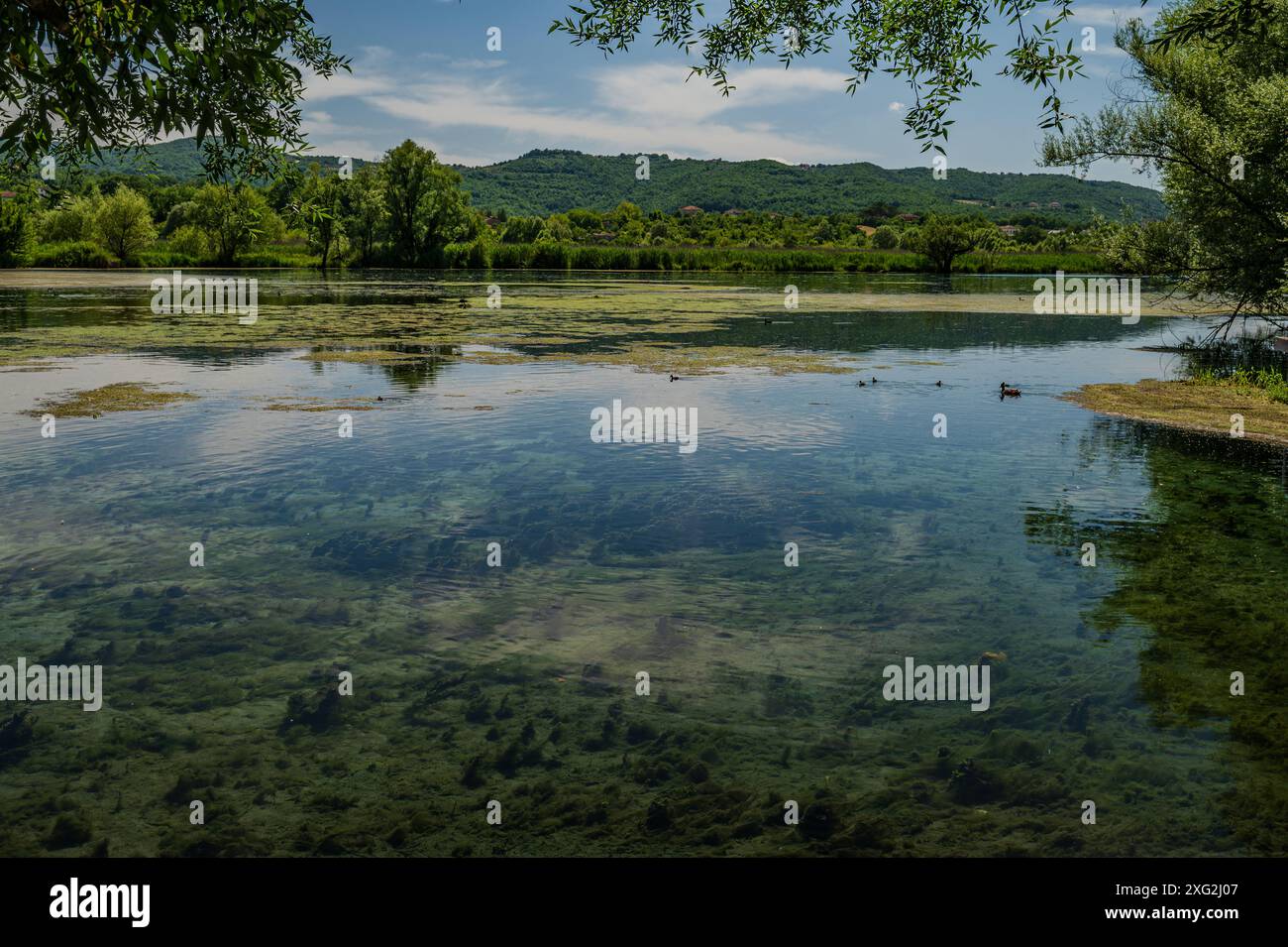 Le lac Posta Fibreno est situé dans la vallée de Comino. En plus de sa faune endémique, le lac est connu pour la présence d'un isl flottant naturel Banque D'Images