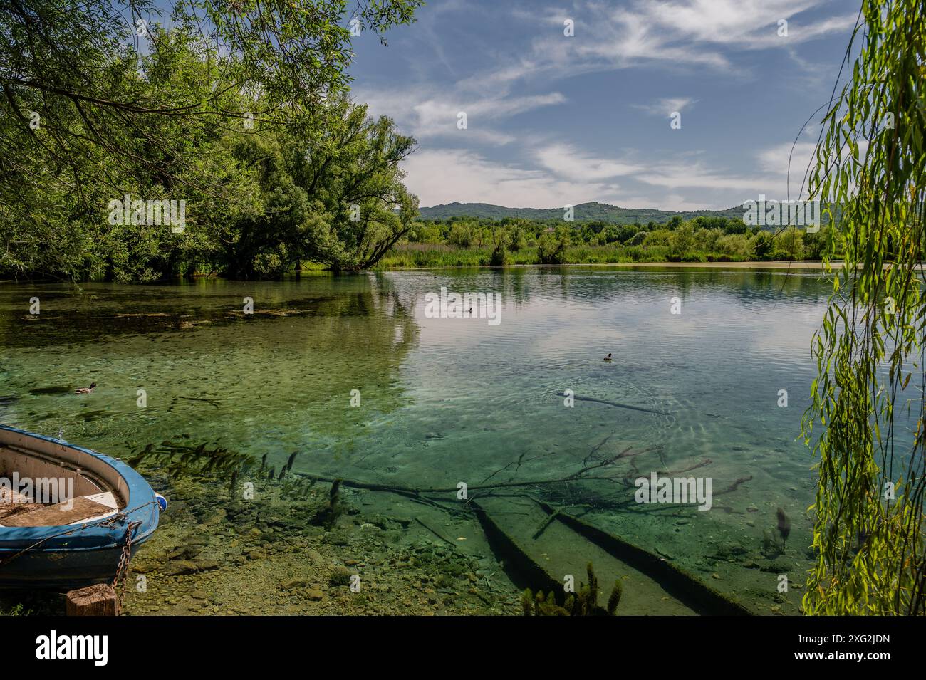 Le lac Posta Fibreno est situé dans la vallée de Comino. En plus de sa faune endémique, le lac est connu pour la présence d'un isl flottant naturel Banque D'Images