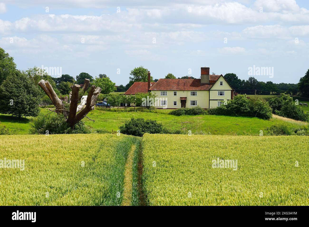 Little Lodge Farm, Castle Hedingham Banque D'Images
