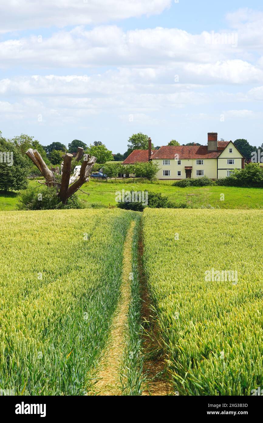 Little Lodge Farm, Castle Hedingham Banque D'Images