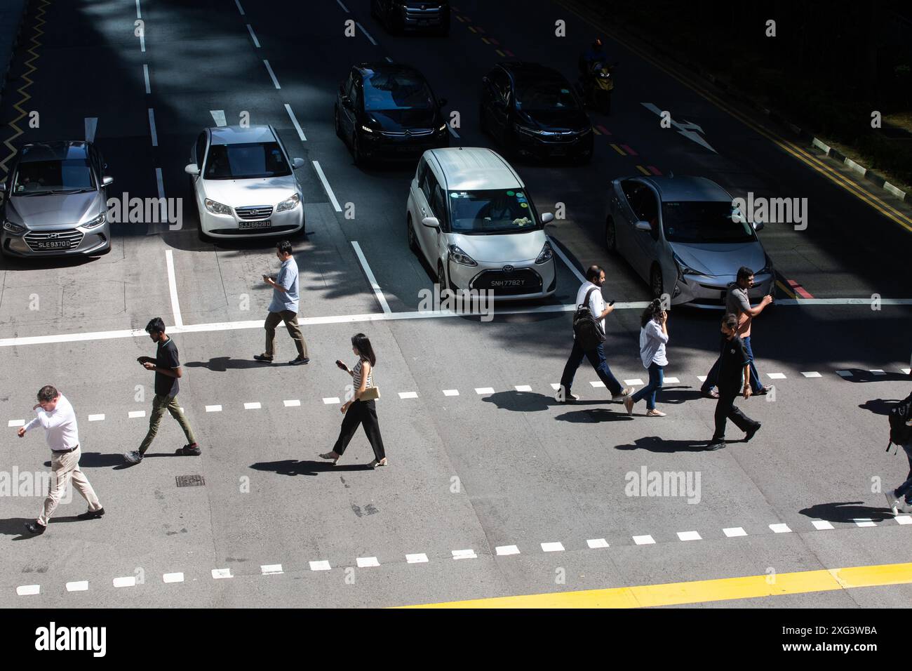 Certains piétons traversent la route sous le soleil chaud, regardant leur téléphone portable, distrayant la marche. Singapour, Asie du Sud-est Banque D'Images