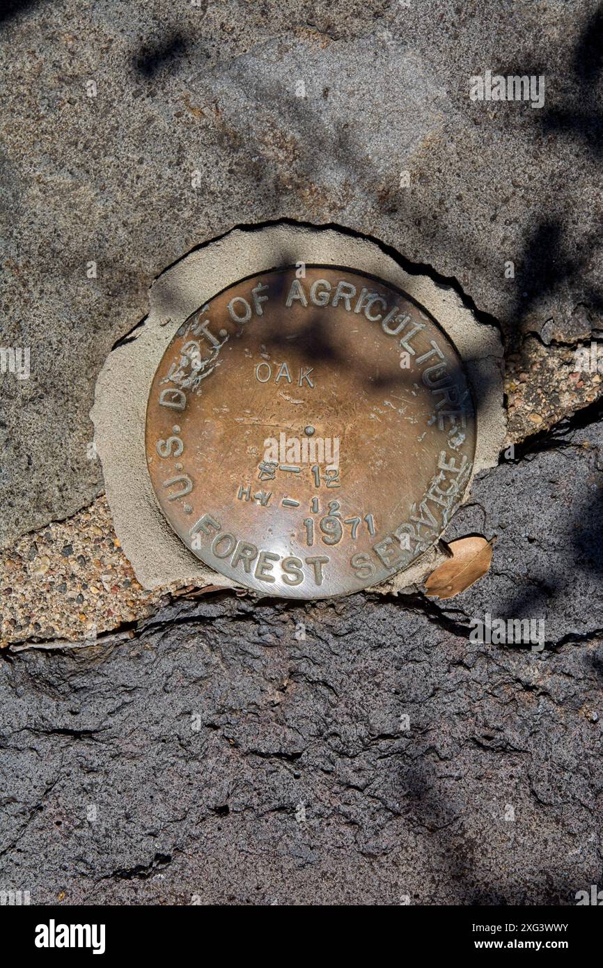 Gros plan du monument de levé en laiton étiqueté U.S. Dept. Agriculture Forest Service au sommet du canyon d'Oak Creek dans la forêt nationale de Coconino Banque D'Images