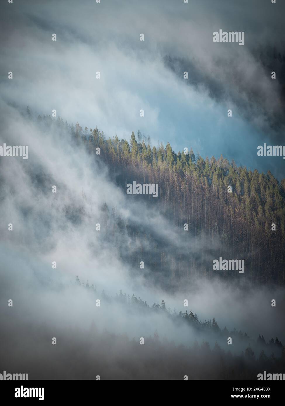 mer ​​of ​​clouds entre les montagnes Banque D'Images