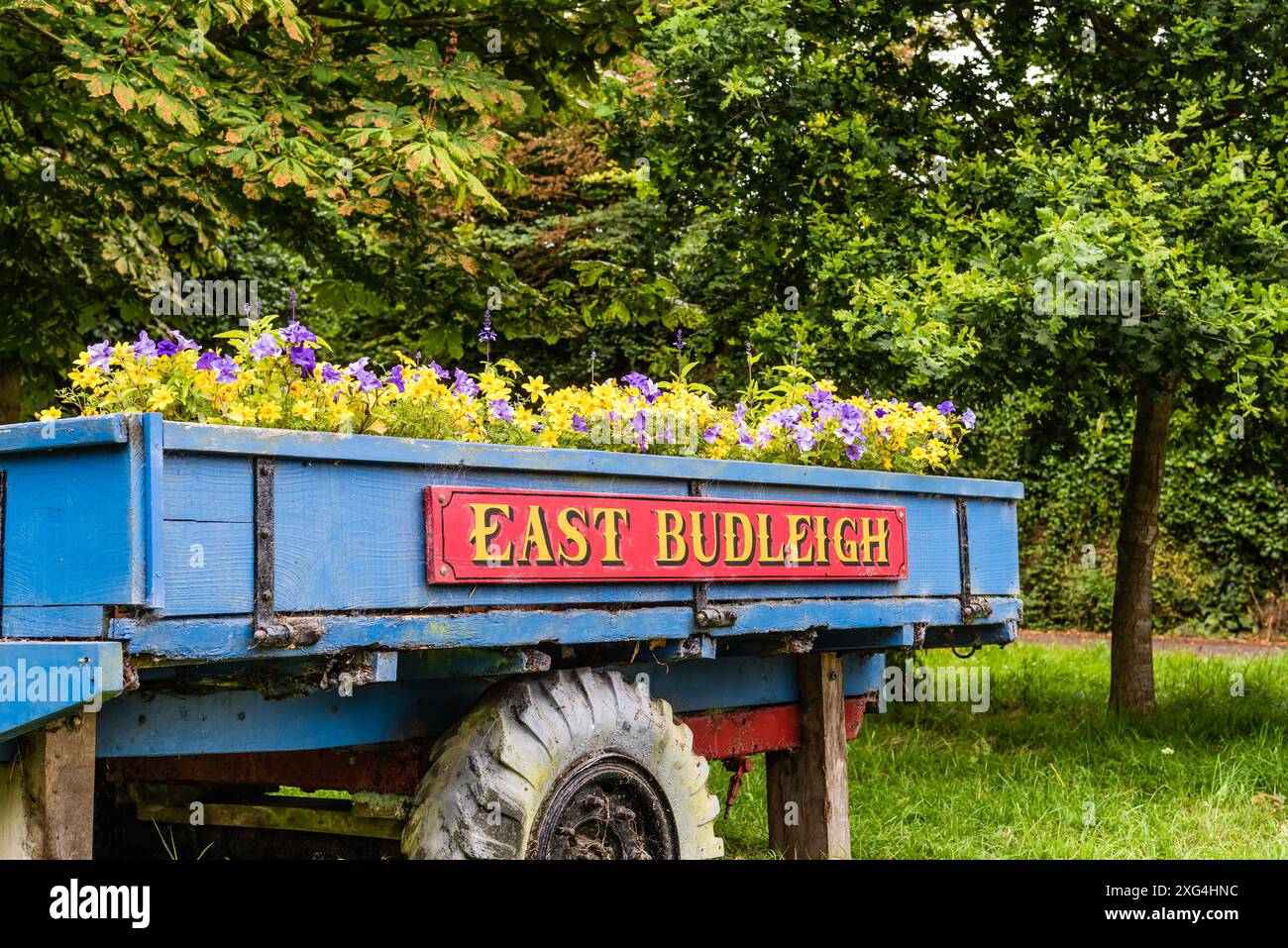 East Budleigh dans Bloom Flower Display. Un village situé au cœur du comté de Devon. Banque D'Images