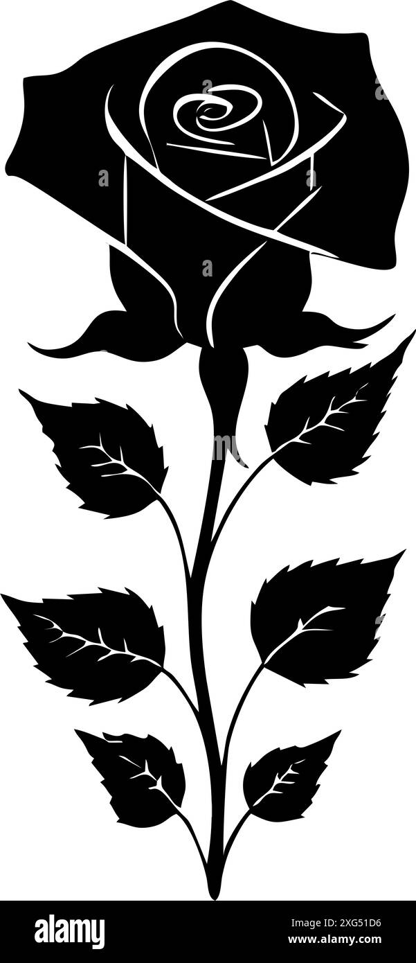 dessin graphique noir d'une fleur de rose avec des feuilles, monochrome, élément décoratif Banque D'Images