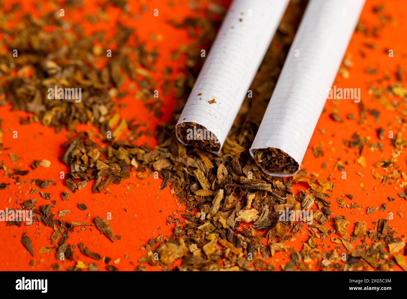 feuille de tabac finement broyée utilisée dans la fabrication de cigarettes, dangereuse pour la santé feuilles de tabac à fumer dans une cigarette Banque D'Images