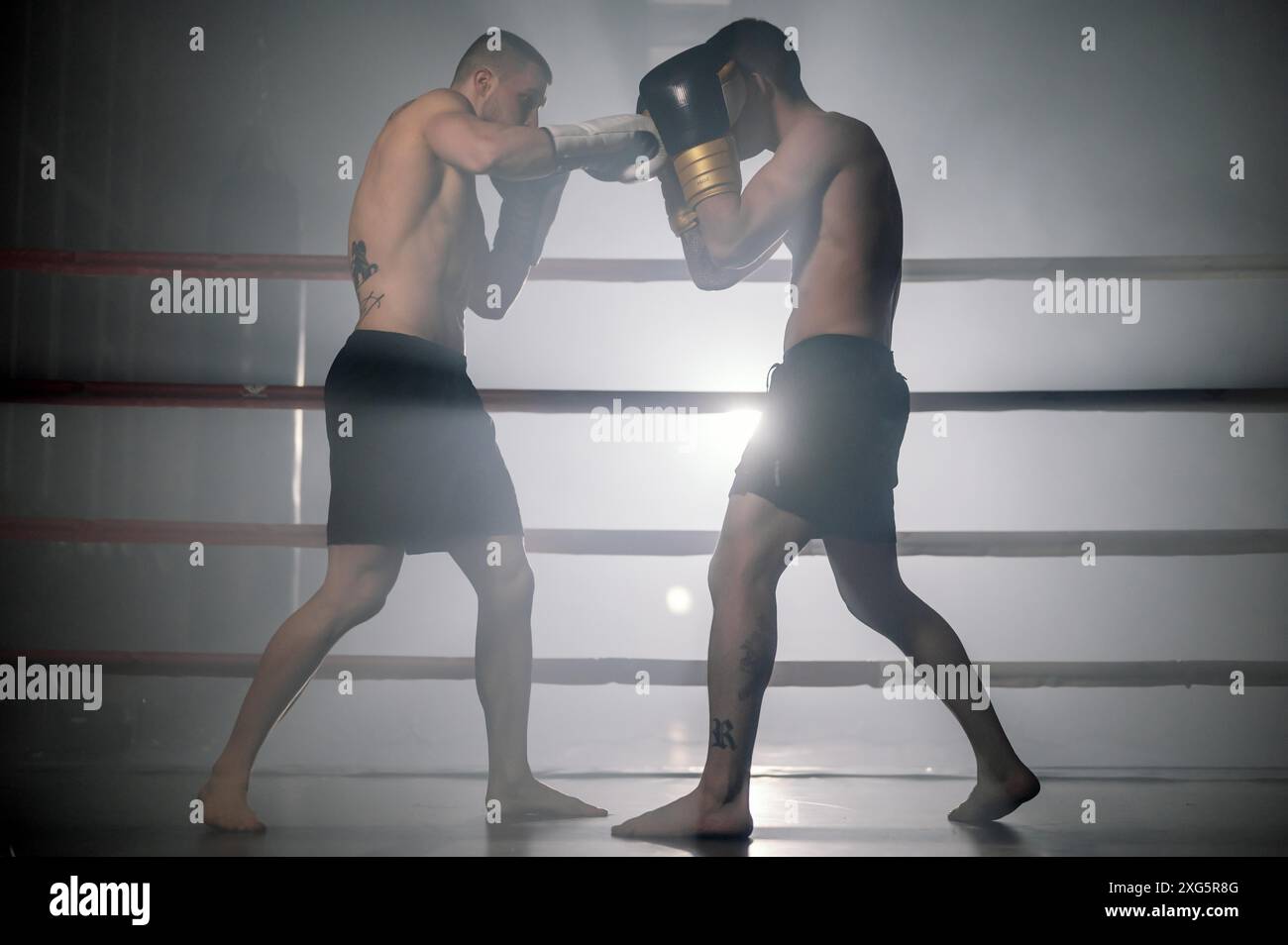 Deux athlètes musculaires d'arts martiaux mixtes se battant sur le ring. Photographie de haute qualité Banque D'Images