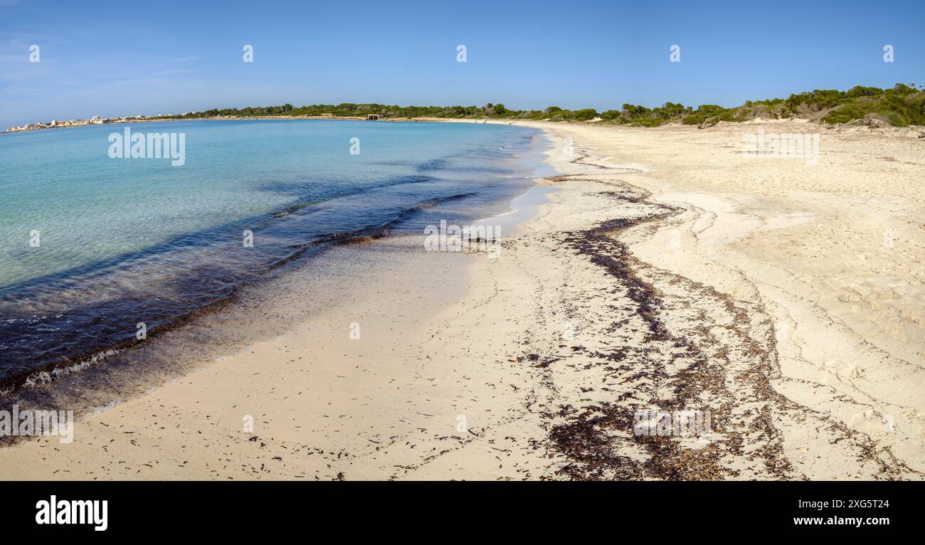 Plage de es Dofi, partie nord de la plage de Carbo, Ses Salines, Majorque, Iles Baléares, Espagne Banque D'Images