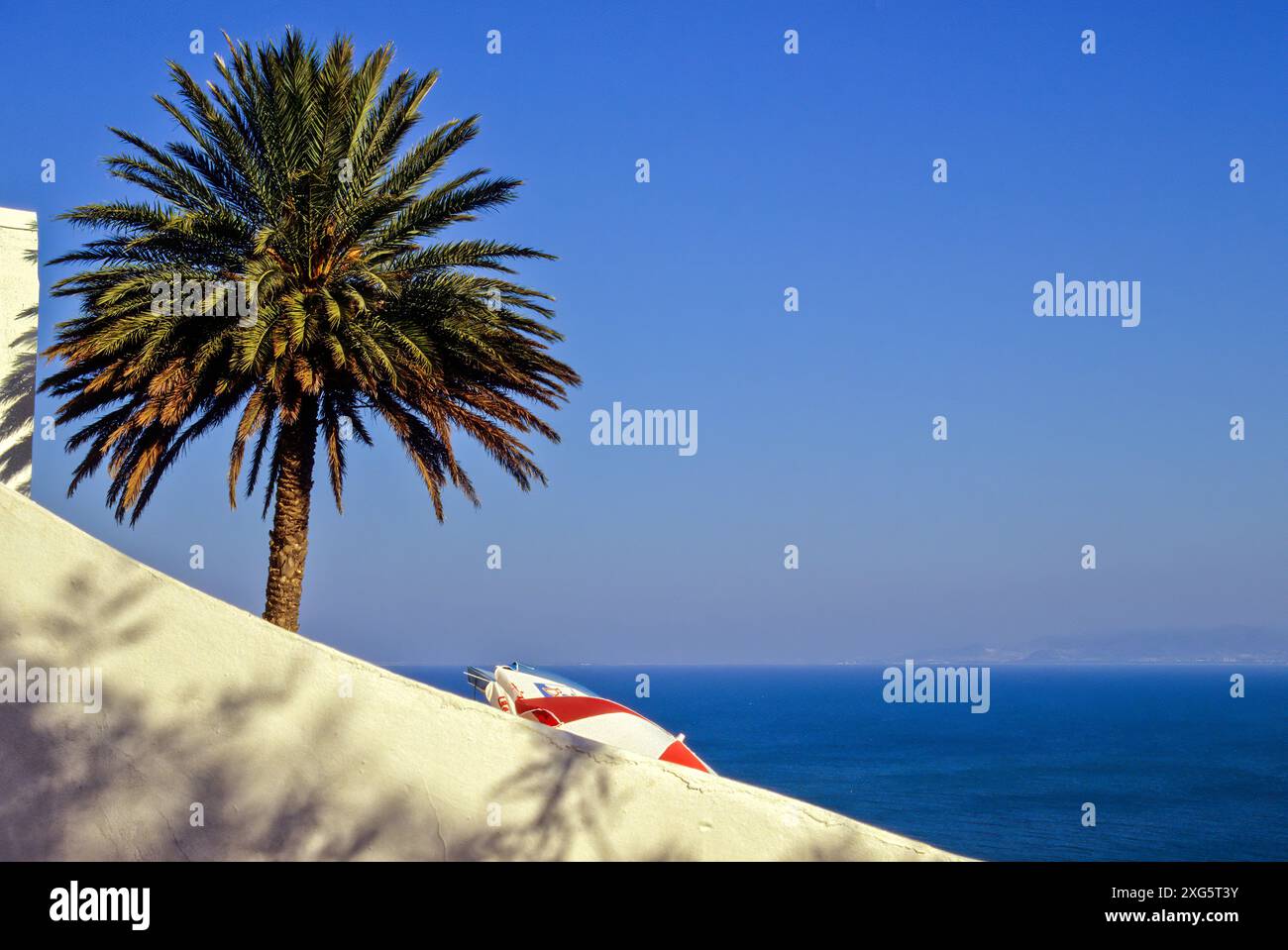 La Tunisie, Sidi Bou Said. Palmier et mur, baie de Tunis en arrière-plan. Banque D'Images