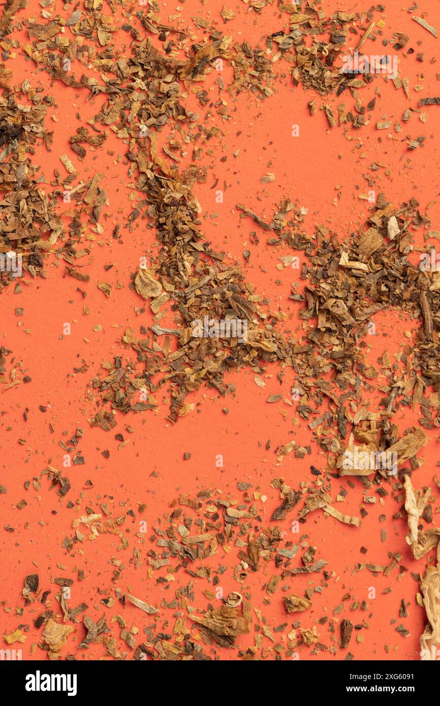 feuille de tabac finement broyée utilisée dans la fabrication de cigarettes, dangereuse pour la santé feuilles de tabac à fumer dans une cigarette Banque D'Images