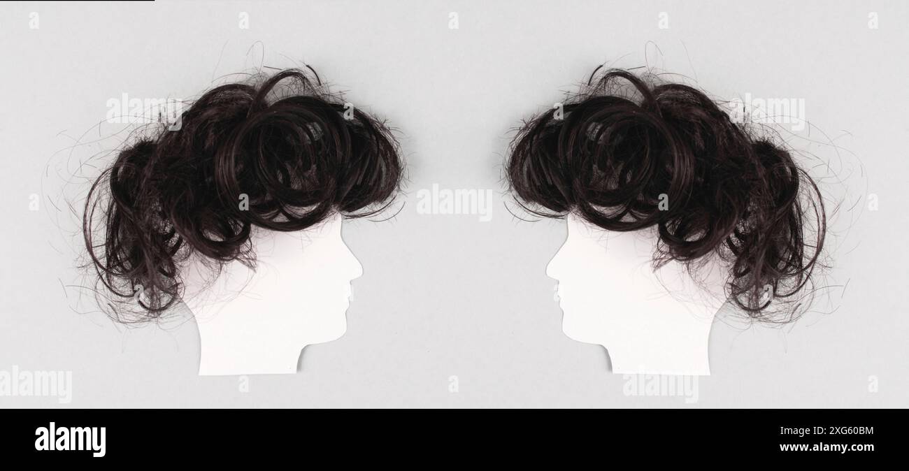 Silhouette de deux visages avec des cheveux regardant l'un vers l'autre, la communication, ayant une opinion et une discussion, la liberté d'expression, les gens parlant Banque D'Images