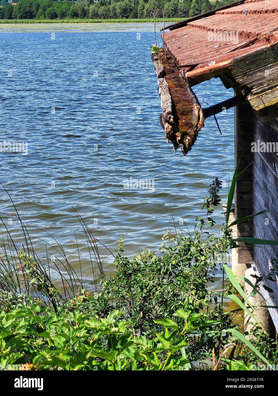 Hangar à bateaux sur le lac avec une gouttière qui est envahie de mousse Banque D'Images