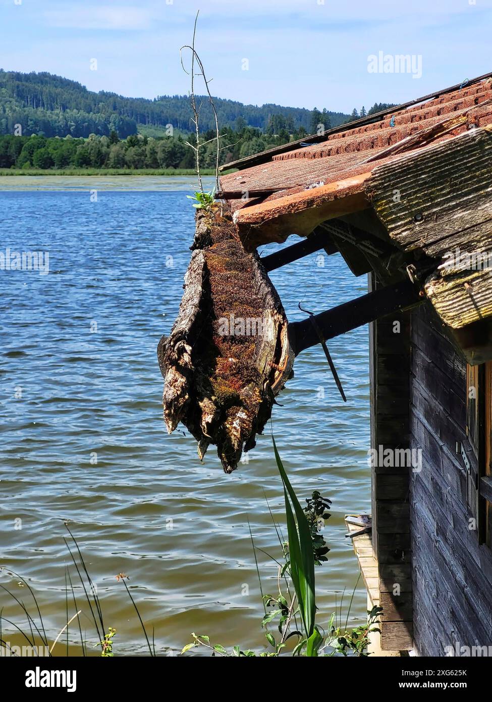 Hangar à bateaux sur le lac avec une gouttière qui est envahie de mousse Banque D'Images