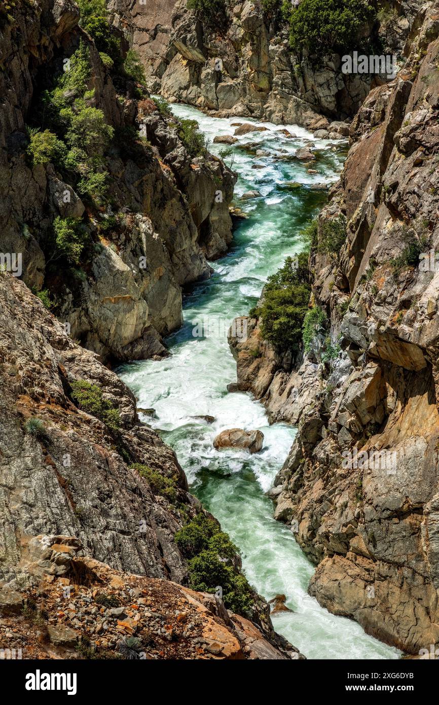 Creek dans le parc national de Kings Canyon, Californie, États-Unis Banque D'Images