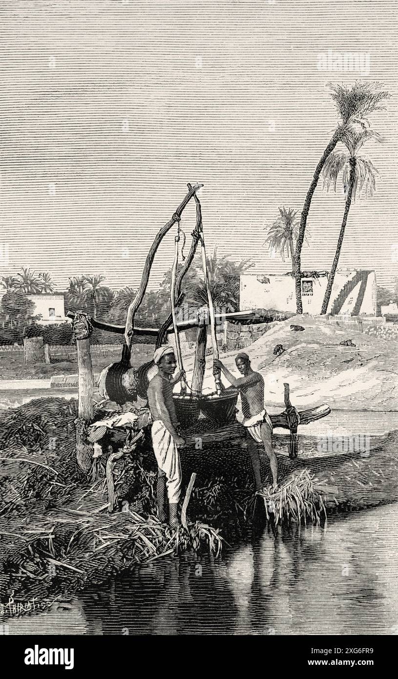 Vieux Shaduf pour l'irrigation sur le fleuve Nil, Egypte. Ancienne illustration gravée du XIXe siècle de la nature 1886 Banque D'Images