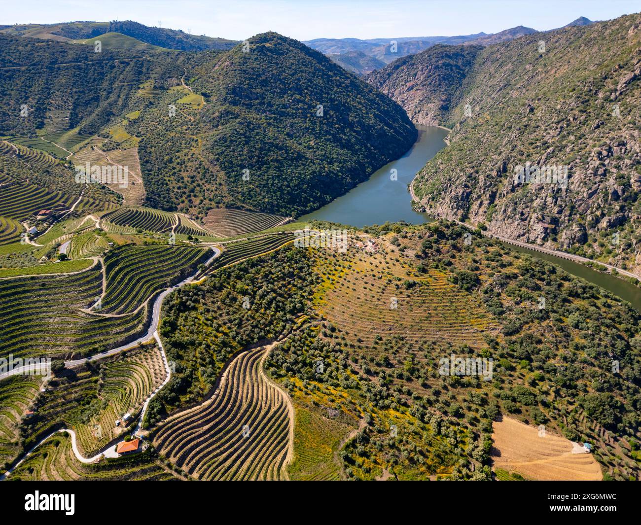 Vignobles sur des terrasses sur les collines de la vallée du Douro, Portugal, Europe Banque D'Images