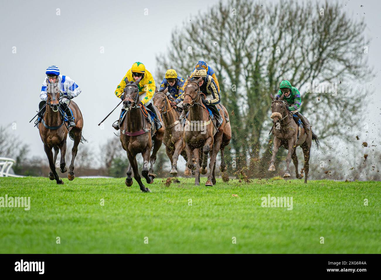 Courses de Wincanton 8 janvier 2022 - course 1 Banque D'Images